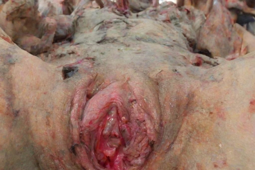 Zombie Vagina 2